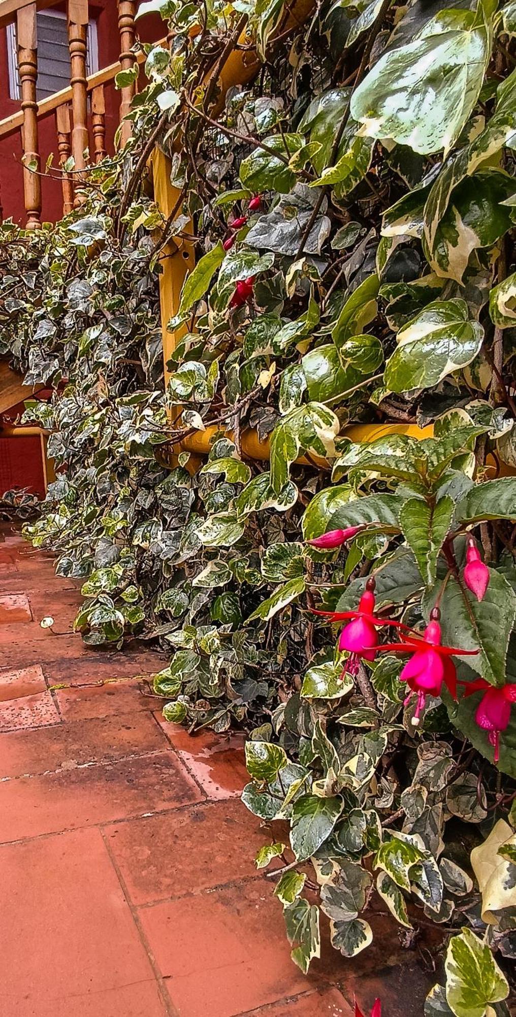 Loki Cusco Hostel Luaran gambar